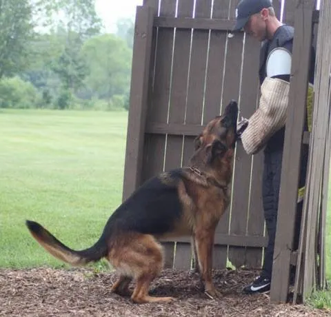 Bite-and-hold work at the blind